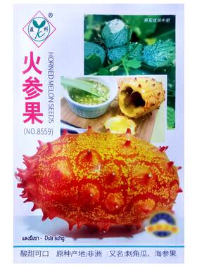 火参果种子海参果非洲刺角瓜种籽