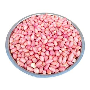 2025年新花生米生大粒生花生河南开封沙地花生榨油餐饮50斤100斤