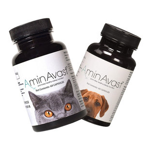 美国AminAvast 肾衰停猫狗急慢性肾肾损伤代谢下降胺肾泌尿胶囊