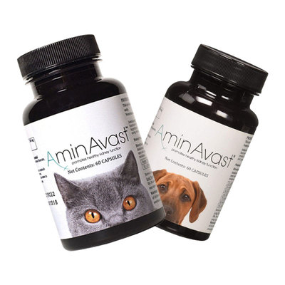 AminAvast急慢性肾炎肾损伤猫犬
