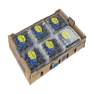 怡颗莓大果脆甜蓝莓王