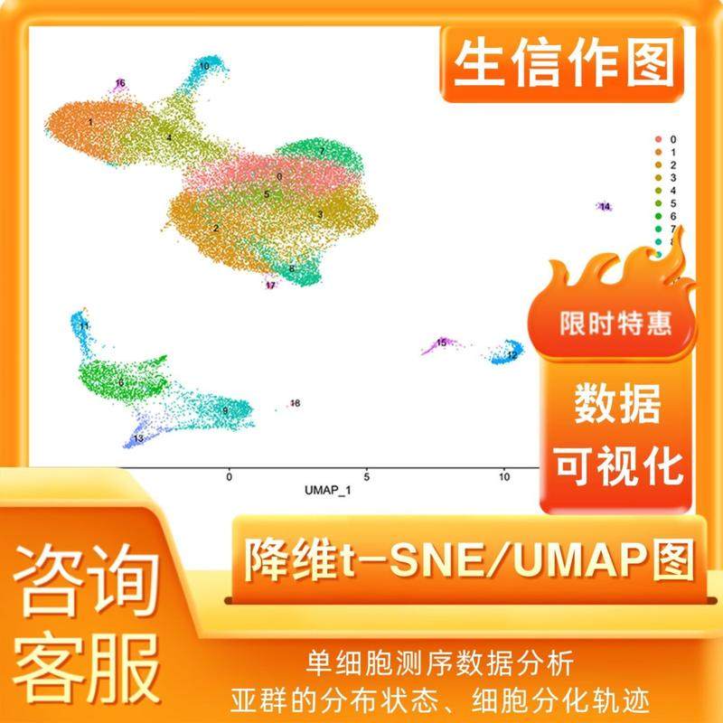 降维tSNE UMAP图生信分析单细胞测序数据帮作图免疫肿瘤细胞R语言