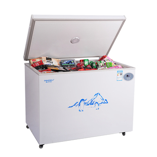 东之开立冷藏冷冻小型家用冰柜卧式单温一级冷柜大容量超薄双门