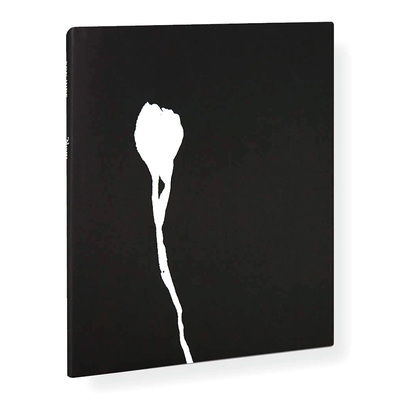 Nausea，眩晕英文原版图