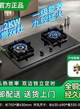三角牌燃气灶双灶家用天然气煤气灶台嵌两用定时节能猛火灶液化气