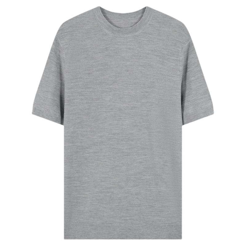 Allbirds Wool春季商务男士羊毛针织套头衫休闲宽松男款短袖上衣