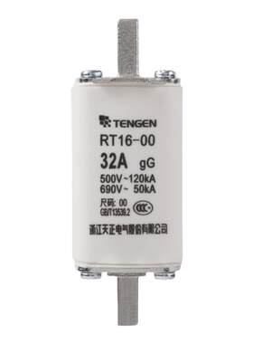天正电气 RT16-00 NT00 RT36-00熔断器芯保险丝32A40A63A100A160A