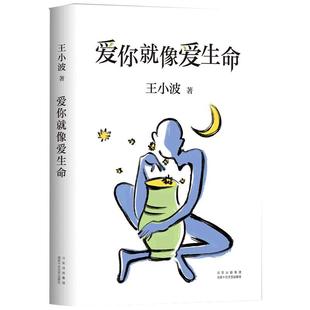 礼盒装+赠帆布袋 王小波作品全套共15册黄金时代白银时代沉默的大多数一只特立独行的猪爱你就像爱生命我的精神家园革命时期的爱情