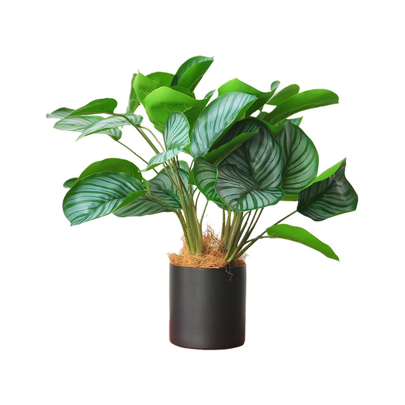 仿真观叶植物 阔叶绿植竹芋桌摆家居办公绿化装饰装饰盆栽 art451