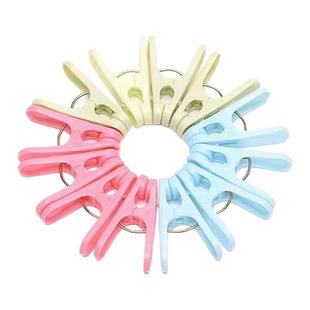 塑料夹子晾衣架衣服晾衣夹家用防风固定小胶晾晒夹晒衣夹小号衣夹