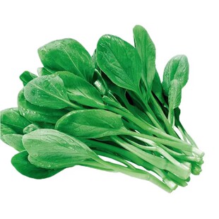 四季适播种子大全草莓甜瓜番茄西瓜蔬菜种籽种孑盆栽露天阳台园艺