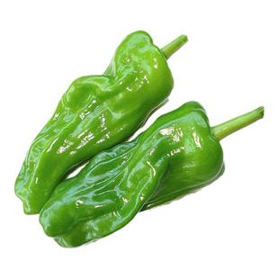 青椒新鲜包邮3斤重庆农家应季蔬菜灯笼椒现摘2斤薄皮虎皮椒青辣椒