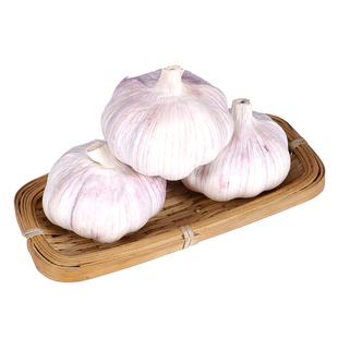 河南农家5斤新干蒜大蒜头紫白皮干蒜大蒜种子200g起新大蒜