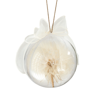 ins风婆罗门参干花球超大蒲公英透明球形花艺装饰小众摆件挂件