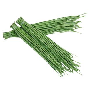 特长豆角种子豇豆绿条四倍体架豆摘不败高产早熟春秋四季蔬菜籽孑