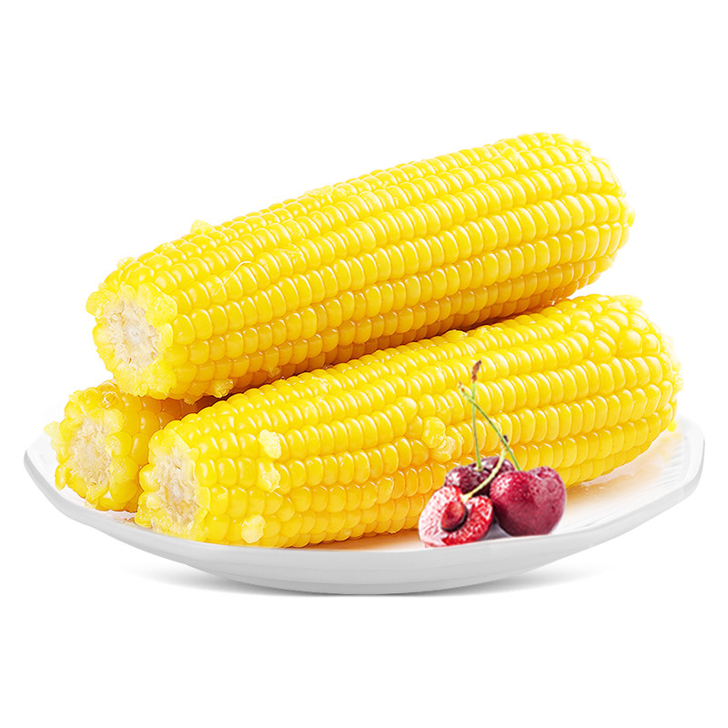 啃糯东北有机糯玉米非转基因新鲜真空包装黄黑粘甜糯当季代餐10棒