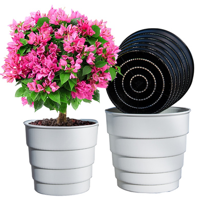 三角梅专用花盆透气控根