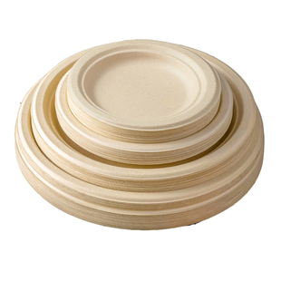 一次性餐盘餐具食品级盘子碗筷碟子加厚纸盘可降解画画烧烤家用