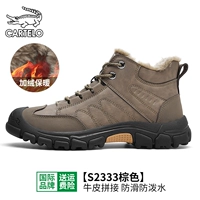 Brown-Plel-2333