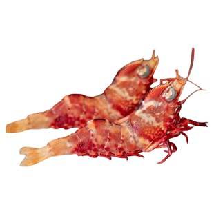 野生海虾鸡冠虾刺身品质东山岛野生海鲜高脊赤虾活冻3 盒顺丰包邮