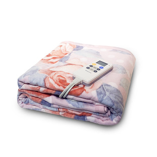 日本森田家用保湿单双温双控低辐射定时智能可水洗床上双人电热毯