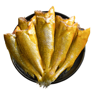 4斤去头小黄鱼鲜活冷冻新鲜大黄花鱼干炸免杀烧烤海鲜生鲜商用