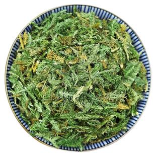 中药材舒伸筋草500g马尾生筋草筋骨草石松狮子草益智仁远志三宝汤