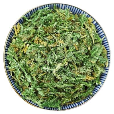 伸筋草伸筋草益智仁中药材