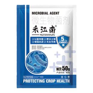 槟榔灌根药防治烂根脚腐病根腐病黄化病专用生根剂救根养根促生根