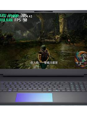 中文送金手指免设置PC游戏