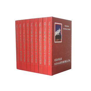 红色橙黄色组合 简约装饰真书 样板房样板间售楼处摆件道具书