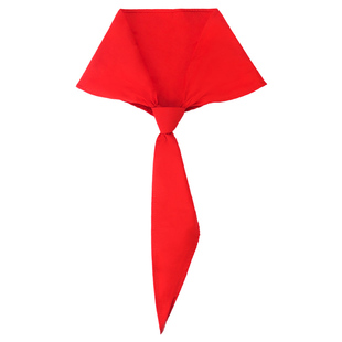 红领巾小学生纯棉通用加厚不缩水手系带打结学校老师推荐标准款1米2一二三四五六年级透气抗皱不掉色国标专用