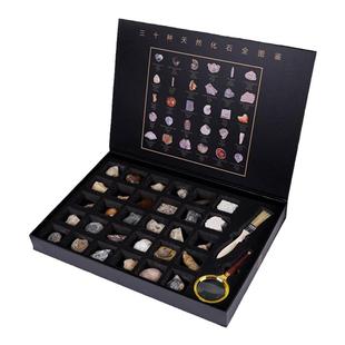 天纵晶华30种天然古生物化石礼盒科普套装菊石三叶虫昆虫标本收藏