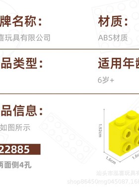 22885 小颗粒 积木 两面侧4孔 益智拼装 MOC配件 起订量16 KG