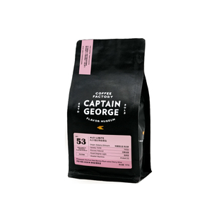 乔治队长“一豆三烘”埃塞俄比亚西达摩ALO日晒浅烘咖啡豆100g/袋