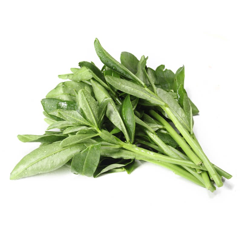 新鲜人参叶野菜士人参苗菜农庄煲汤火锅特色蔬菜打边炉食材