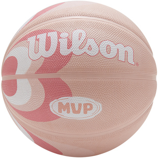 Wilson威尔胜篮球蓝色爱心室外耐磨7号标准球5号儿童小学生专用球