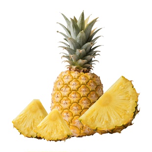 海南金钻凤梨新鲜水果当季粉色风梨手撕香水菠萝特产大果无眼整箱