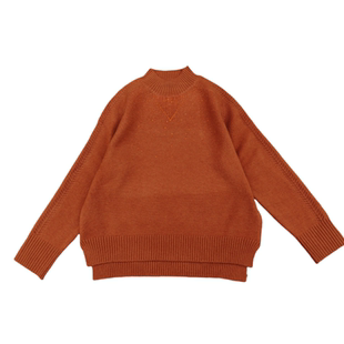 纯色加厚半高领毛衣女秋冬2025新款内搭外穿前短后长针织打底衫