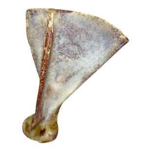 肉丁宠物 狗狗磨牙棒羊扇骨泰迪比熊磨牙骨除口臭洁齿骨零食耐咬