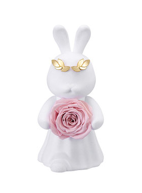【七夕礼物】ROSEONLY诺誓爱冕兔永生花玫瑰送女友爱人生日情人节