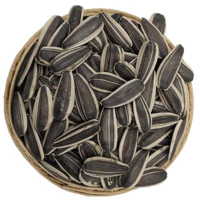 内蒙古363生瓜子新鲜葵花籽