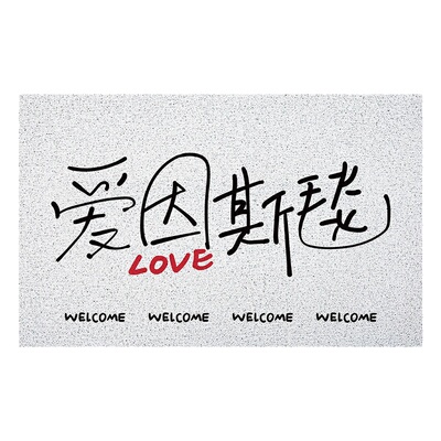 玄关丝圈地垫pvc入户门进门脚垫