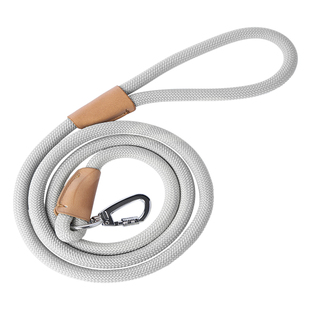 中恒狗狗牵引绳小型犬泰迪柯基遛狗绳子宠物幼犬中大型金毛拴狗链