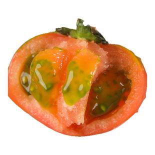 正宗铁皮草莓柿子大连即食新鲜盘锦碱地自然熟绿腚西红柿水果番茄
