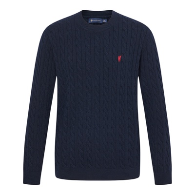 POLOWALK男式针织衫2025秋季新品商务风包芯纱绞花圆领套头上衣男