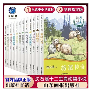 沈石溪十二生肖动物小说旅鼠传奇猪王黑旋风雄虎哈雷山羊大王拂晓鸡王大个头兔王最后的马王龙鸟传奇雄猴的战争山东画报出版社