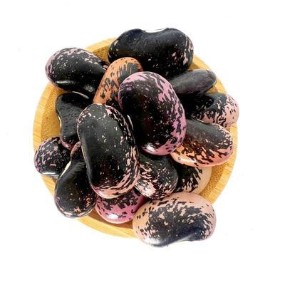 大肾豆牛眼豆农家黑花芸豆黑豆花豆腰豆黑芸豆大云豆新鲜干货豆类