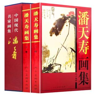 潘天寿画集 全2册16开精装铜版纸彩印 潘天寿绘画作品集 人民美术出版社中国现代名画家集画册 秃头僧/古木寒鸦 济公与象正版书籍