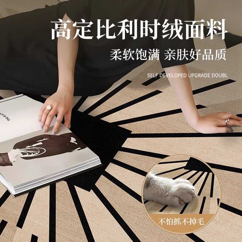 新款客厅地毯沙发地垫奢卧室现代简约床边轻免洗家用茶几高级毯子